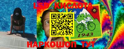 прущие грибы Чебоксары