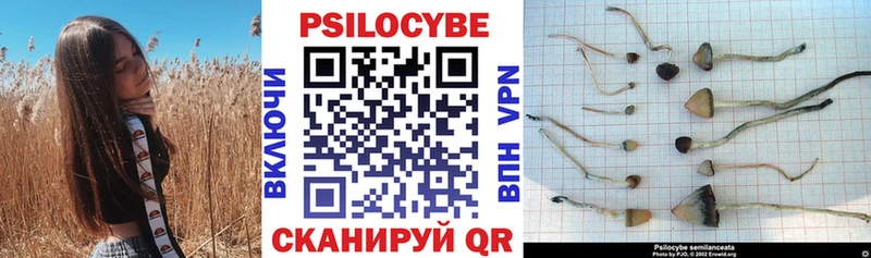 Псилоцибиновые грибы ЛСД  Миллерово 