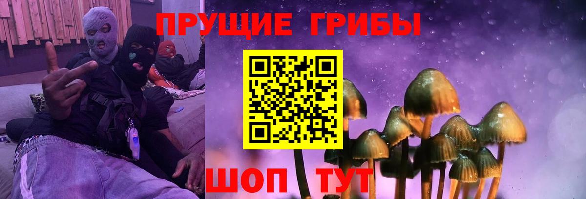 Псилоцибиновые грибы Cubensis Миллерово